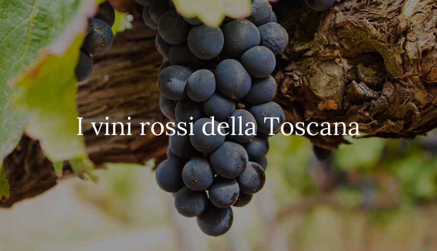  Vino rosso toscano: ottimo è dire poco!